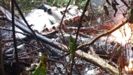 Varias personas fallecidas deja accidente de una avioneta ambulancia en Mitú; reporte oficial