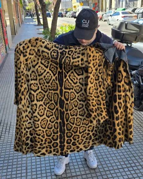 Decomisan un tapado de piel de yaguareté en Buenos Aires