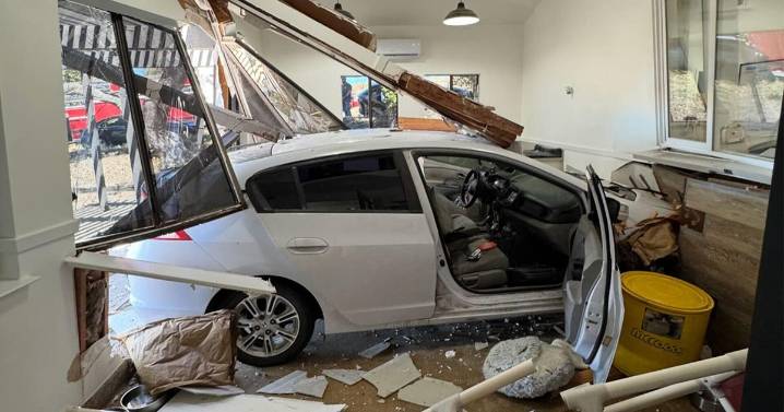 Car crashes into Oakdale animal rescue, several cats escape