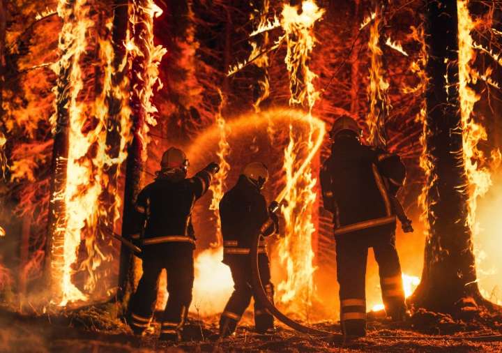 Un nuevo de Science afirma: "un 40 % más de personas viven ahora en zonas vulnerables a los incendios forestales"