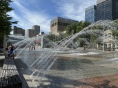Edmonton women’s advocacy group says municipal election candidates are being harassed