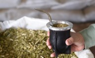 Cifra inédita. Las exportaciones de yerba batieron una marca, podría romperse un “maleficio” y despegó el consumo interno