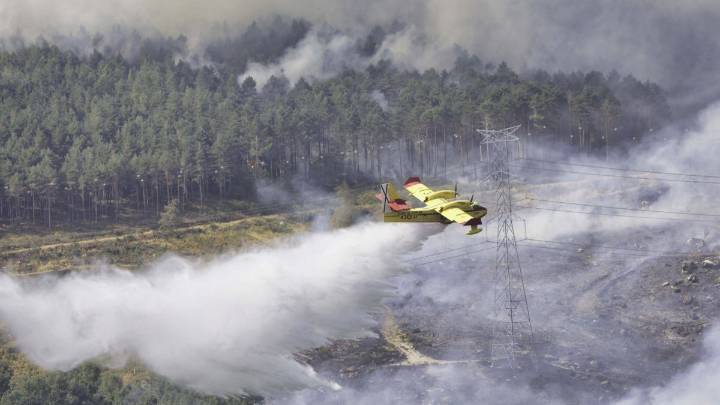 Estado de los incendios: "Prácticamente controlados" el de La Culebra y Molezuelas y desatado el de Ourense en Zamora