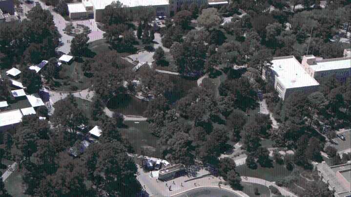 UNM to host grand opening ceremony for renovated duck pond