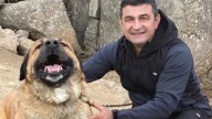 Una avalancha de solidaridad y donaciones para la familia de Mircea, el «héroe de Tres Cantos»
