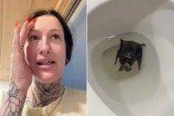 Woman’s Bathroom Trip Leads to ER Visit for Rabies Shot (Exclusive)