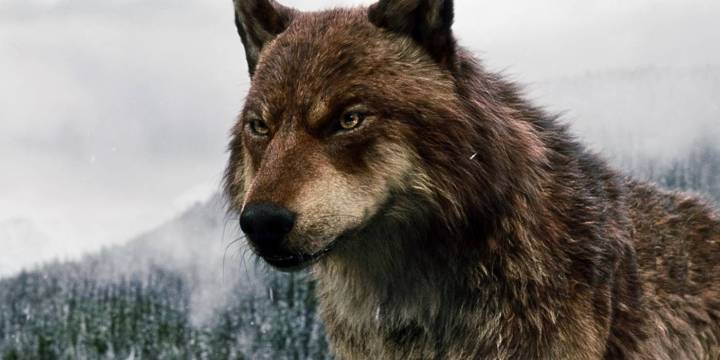 'The Twilight Saga' Films Returning to Theaters Later This Fall