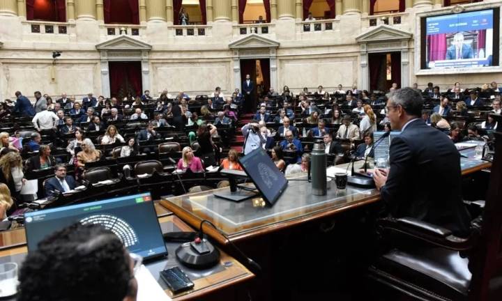 Emergencia en Discapacidad: Diputados rechazó el veto de Milei