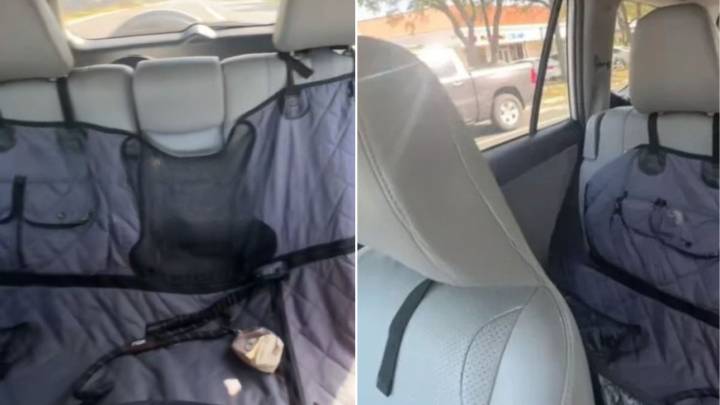 Texas Woman Stops At Red Light And Panics When Her Dog Vanishes From Backseat