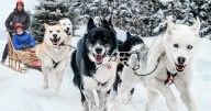 Mont Tremblant: aventura, gastronomía y hospitalidad a solo 90 minutos de Montreal
