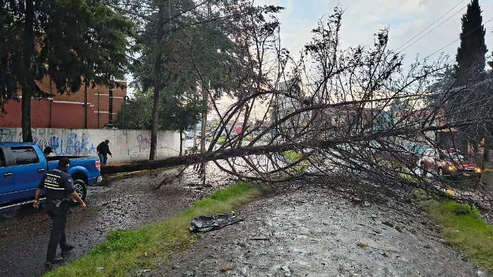 Toluca atiende daños por lluvia y mantiene vigilancia en zonas vulnerables