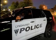 Fake Handgun From Temu Brings Major Police Response To Busy Lyndhurst Shopping Center: Cops