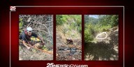 Ruff stretch of days ends with rescue from East Peoria ravine for missing dog