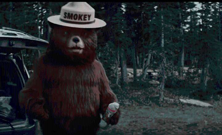 Indiana State Parks to celebrate Smokey Bear's 81st birthday