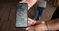 Detectan primer caso de gusano barrenador en México: ¿Qué sabemos del paciente infectado en Tabasco?