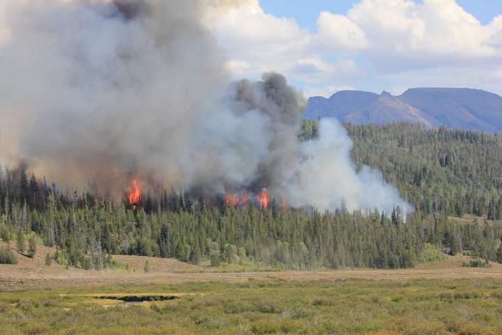 Western Wyoming fire explodes to 600 acres, closing Green River Lakes Road and prompting evacuations