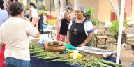 Embajadores de la cocina tradicional tabasqueña engalanan la Tercera Edición del FECCI