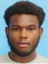 Stolen Vehicle Suspect from Alabama Arrested After Multi