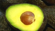 ¿Chile se ve afectado?: Europa rechaza cargamentos de palta peruana por estar contaminados