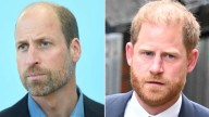 Royal Rift “Worse Than Ever” as Prince William Struggles to Forgive Harry