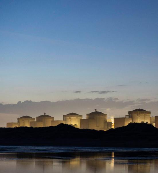 Enjambre de medusas apagó la planta de energía nuclear más importante de Europa Occidental