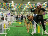 Expopet 2025: cinco días dedicados a las mascotas
