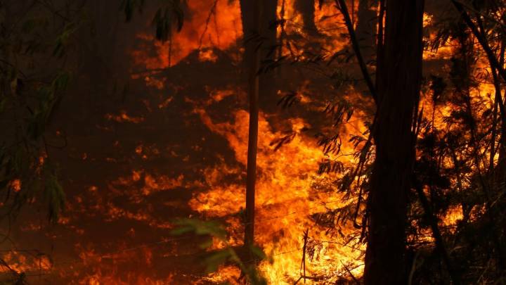 Gobierno de Bolivia declara "emergencia nacional" por tres incendios forestales
