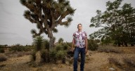 Property owners recoil at cost, burden of Joshua tree protections
