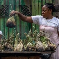 French dictionary gets bad rap over Congolese banana leaf dish