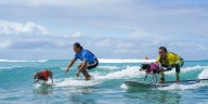 Pet surfing competition celebrates 10 years