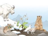 6 ways WA’s warming mountains are changing