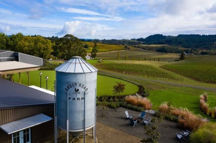 Wines You Should Be Drinking Right Now — Resist The Aligoté Hate and Embrace an Underrated Grape
