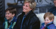'I worked for Princess Diana and know Prince Harry and Prince William were warned'