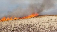 Todos los incendios en la provincia se encuentran contenidos