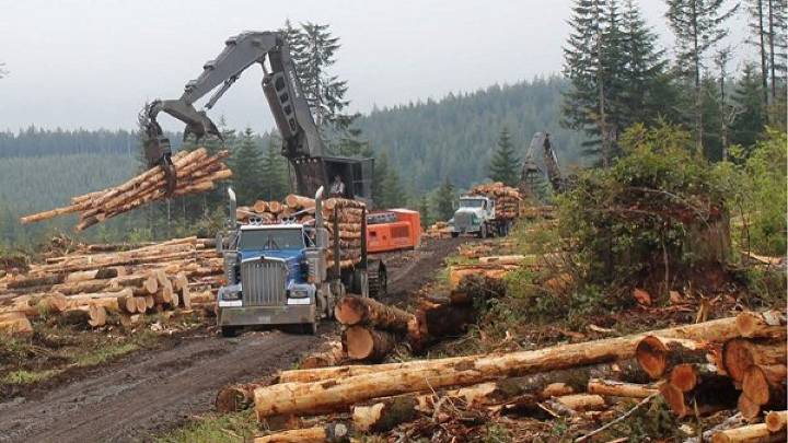 Parts of rural WA pinched by lapse in federal payments to offset lost logging revenue