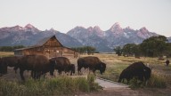 Mormon Row restoration, preservation project advances on summer goals