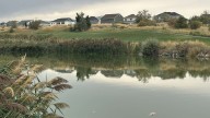 Utah investigating what may have caused Jordan River fish kill