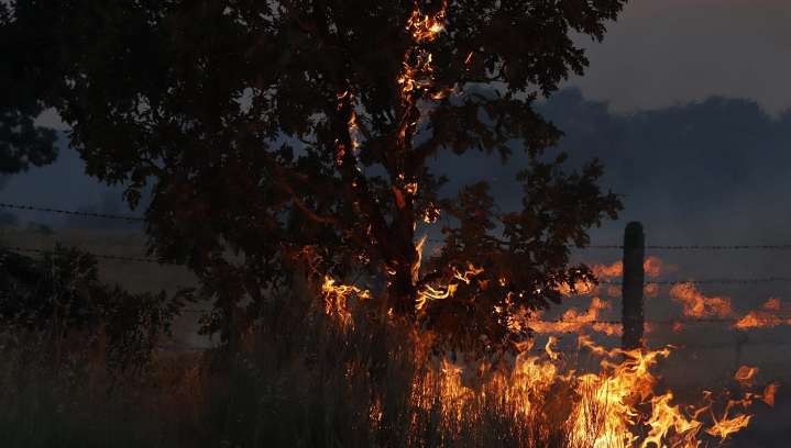 Cinco grandes incendios golpean Salamanca en un día negro