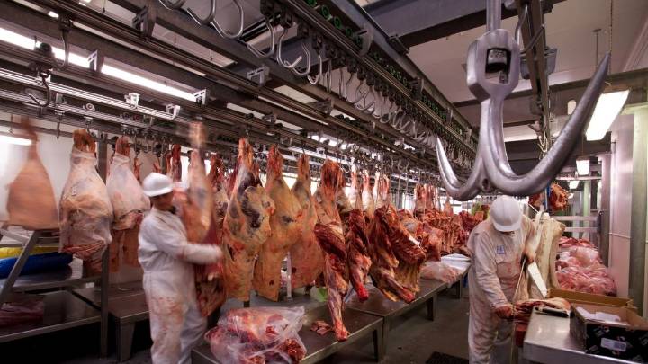Chile suspendió la importación de carne argentina por miedo a la aftosa tras una desregulación del gobierno