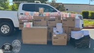 $30,000 of stolen Labubus recovered in major California bust