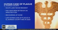 Human case of plague confirmed in South Lake Tahoe