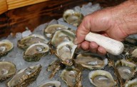 Florida wildlife officials consider reopening bay nationally known for its oysters