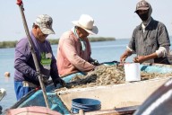 Anuncian vedas y capturas reguladas de especies acuáticas a partir de septiembre