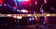 Boy, 8, dies after being attacked by family dog as teen sister watched in horror