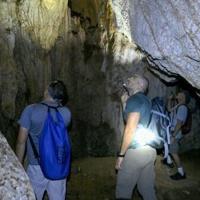 New species teem in Cambodia's threatened karst