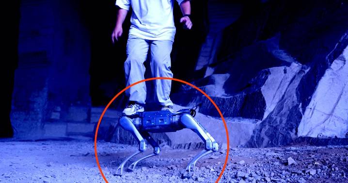 Wild New Robot Dog Is So Strong You Can Ride It Like a Four