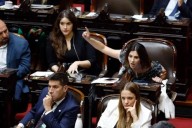 Una ex oficialista y 3 diputados libertarios conformaron nuevo bloque: eran 39 y ahora son 36