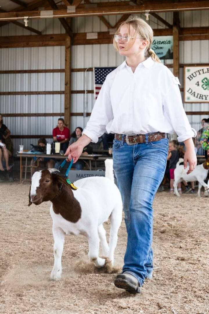 Farm Show Results: Goats