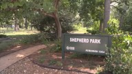 Harris County Pct. 1 deputy constables say they're looking for man who's preying on women at Shepherd Park in north Houston