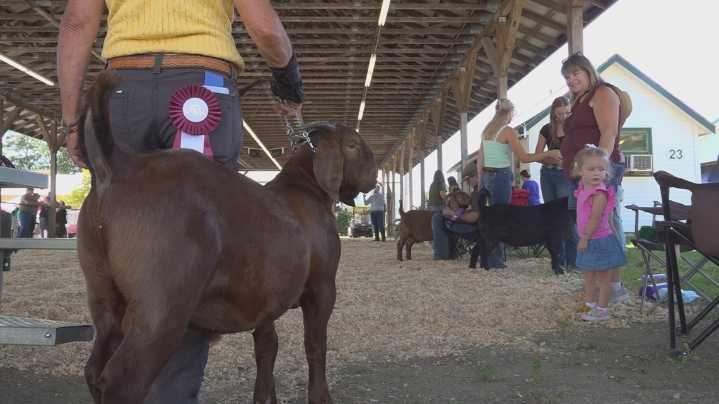 Windsor Fair celebrates 137 years of Maine agricultural traditions